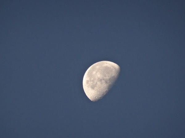 DSC01015