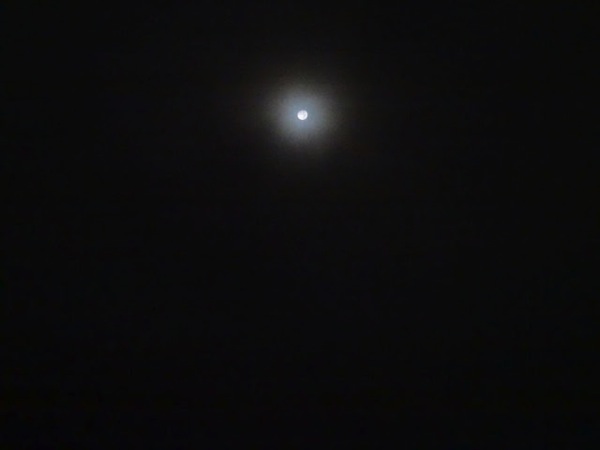 DSC01106